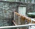  - 初雪