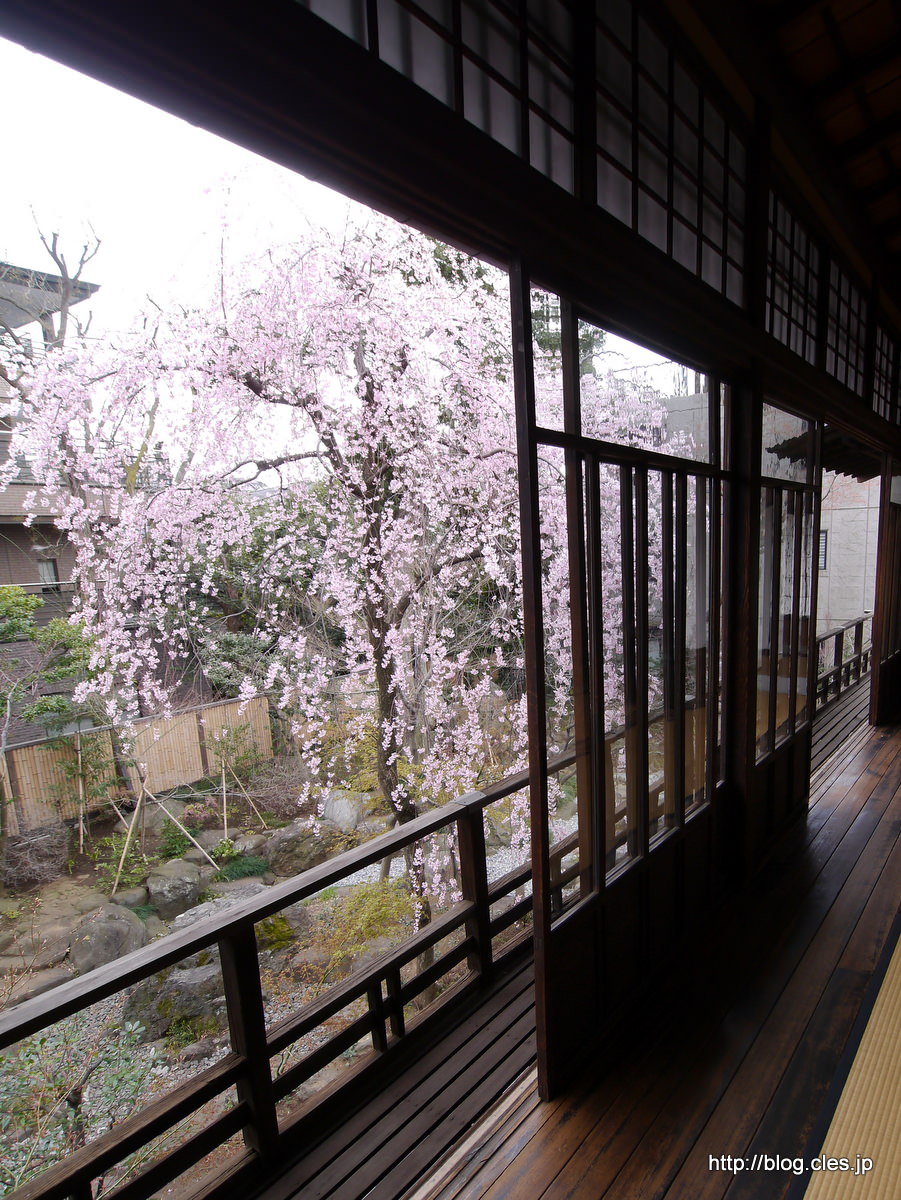 千駄木・旧安田楠雄邸庭園の桜+-+都内は桜が満開に