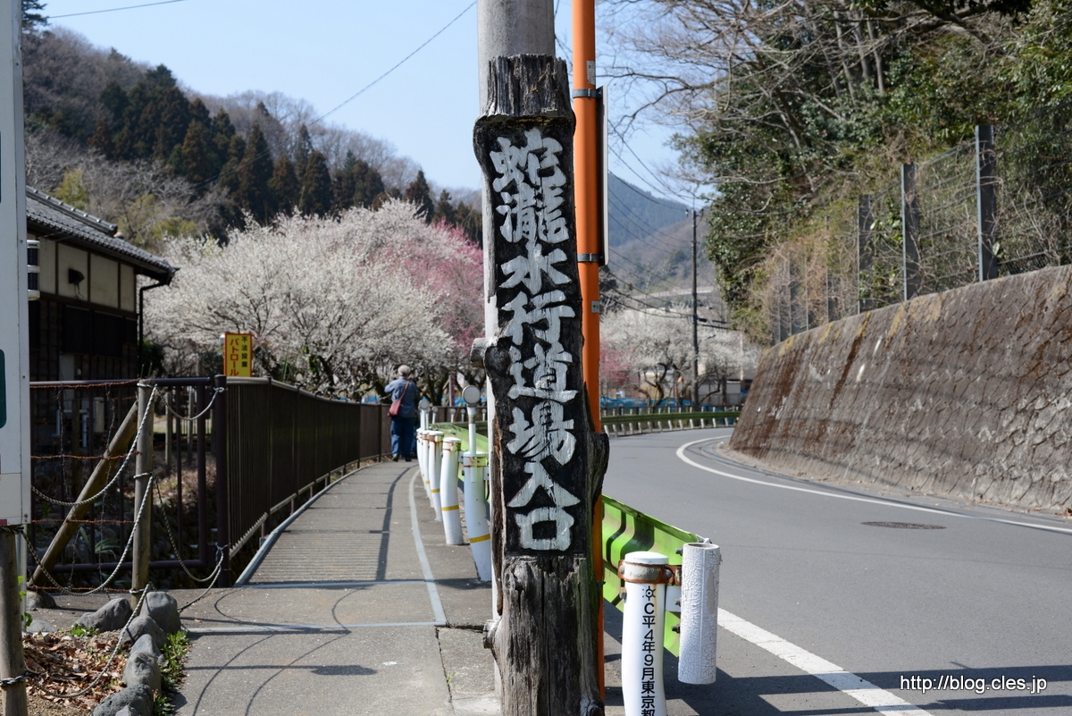 蛇滝口のすぐそば+-+湯の花梅林も満開