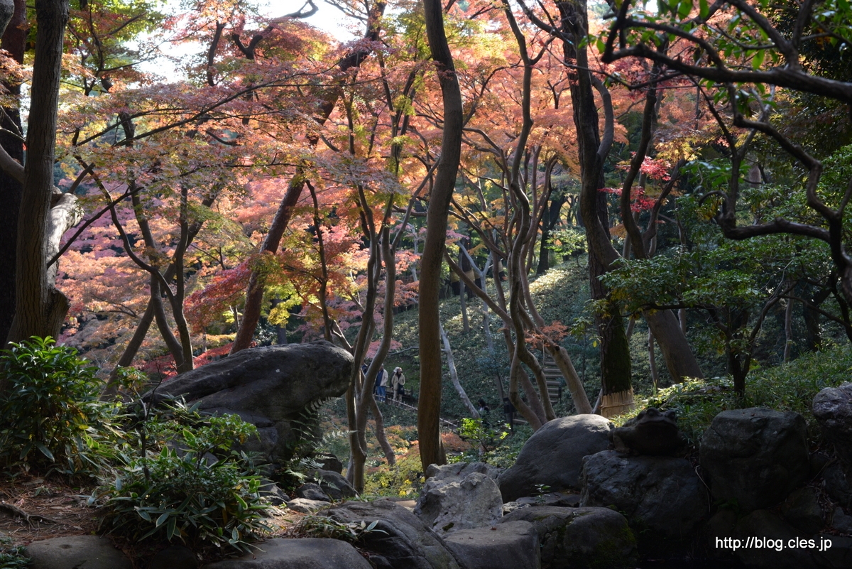 殿ヶ谷戸庭園の紅葉