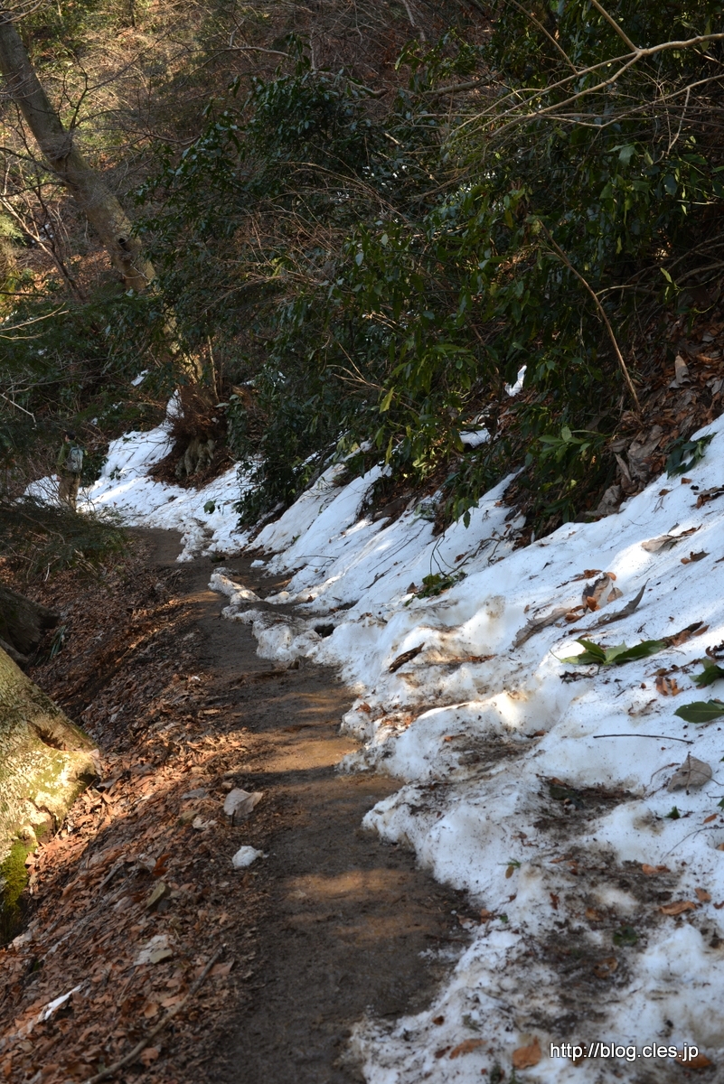 雪の残る登山道+-+雪の残る高尾山へ