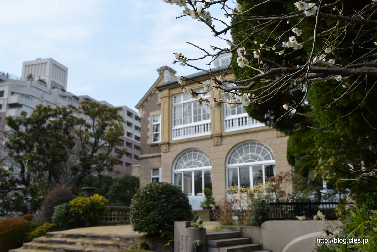 白梅と洋館+-+もう一つのバラと洋館+「鳩山会館」