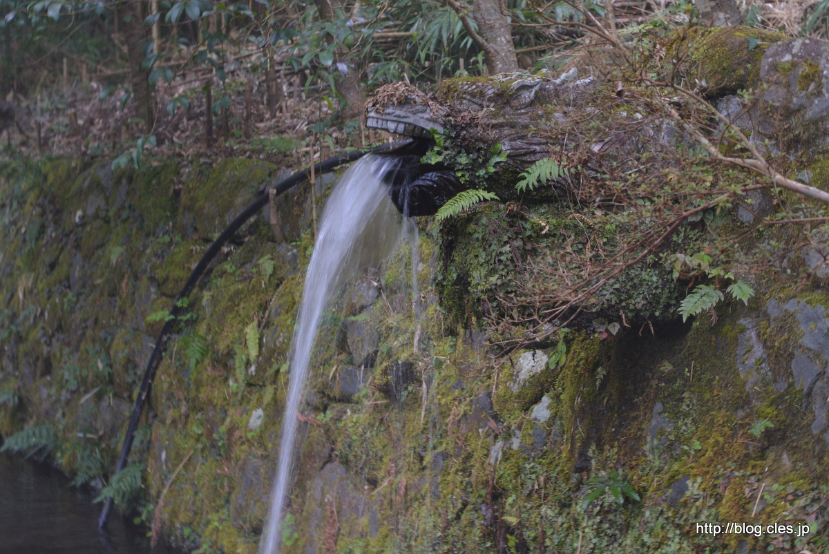 池+-+朝霧の宇奈岐日女神社にお参り