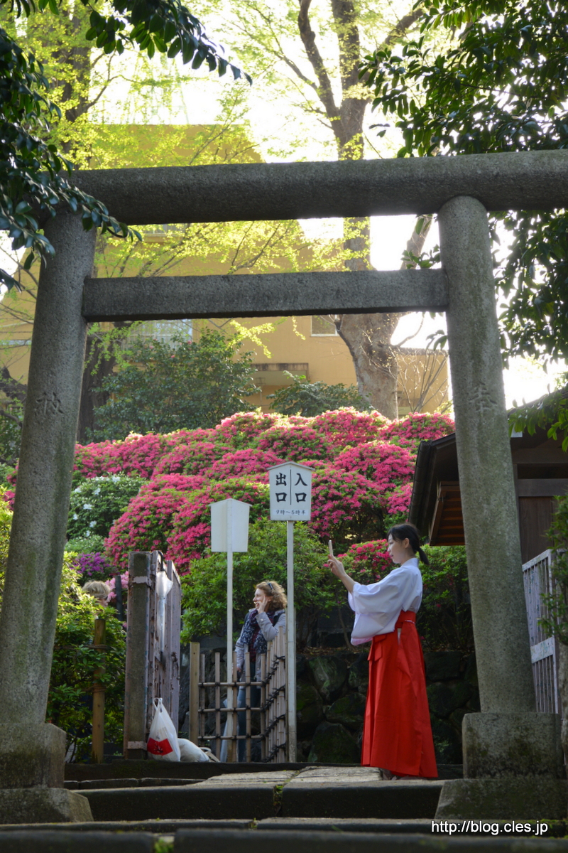 乙女稲荷側の入口+-+根津神社の文京つつじまつり+2016