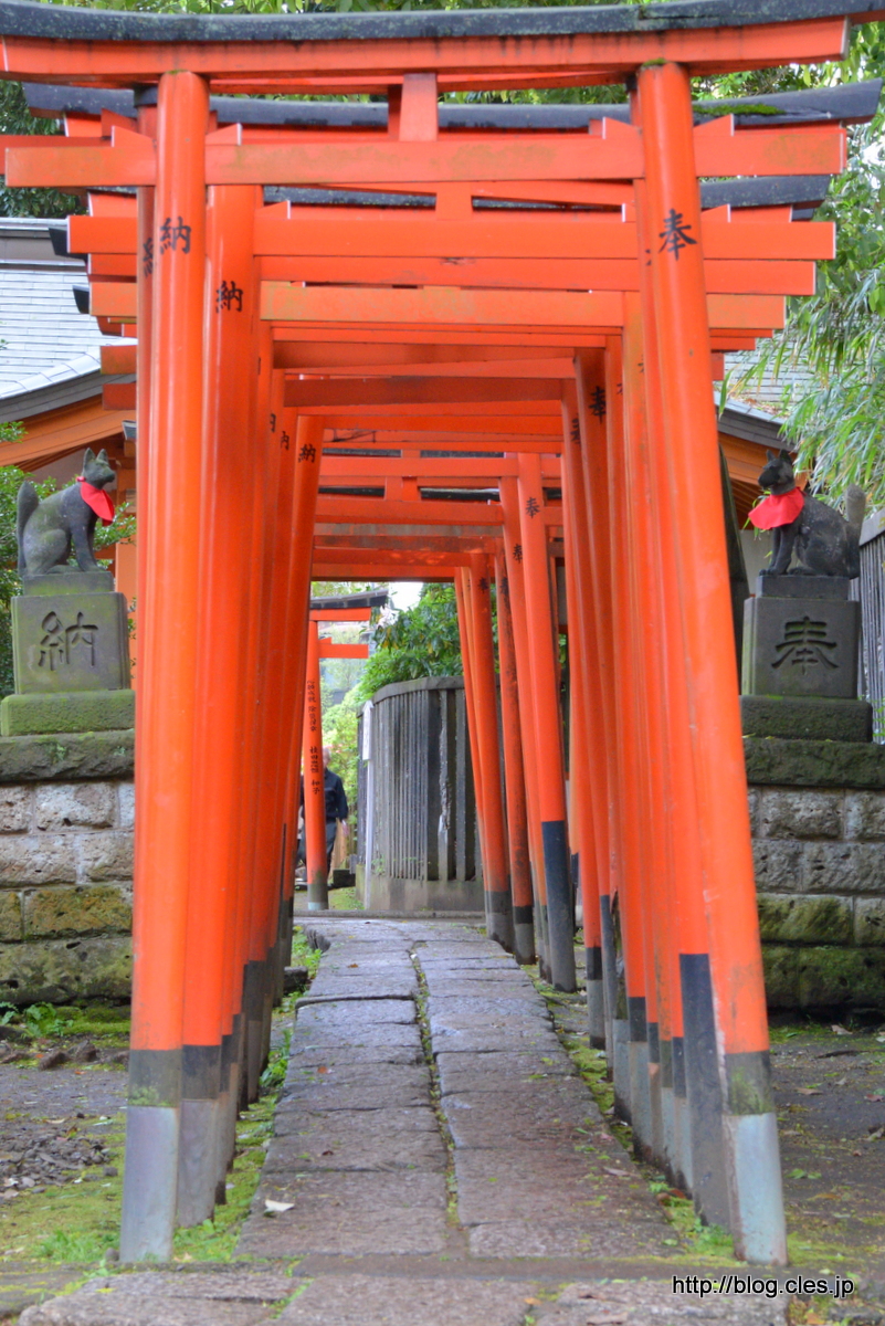 乙女稲荷への道+-+根津神社の文京つつじまつり+2016