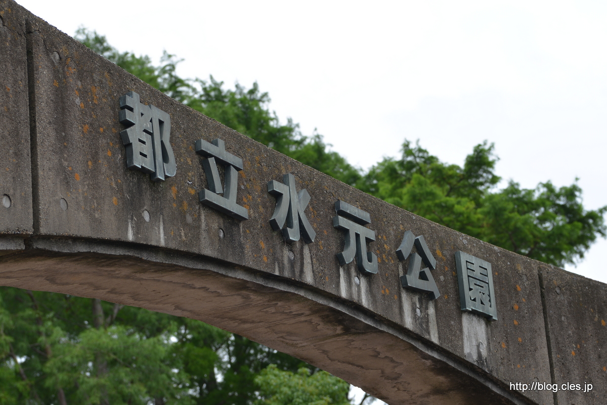 水元公園の葛飾菖蒲まつり 16