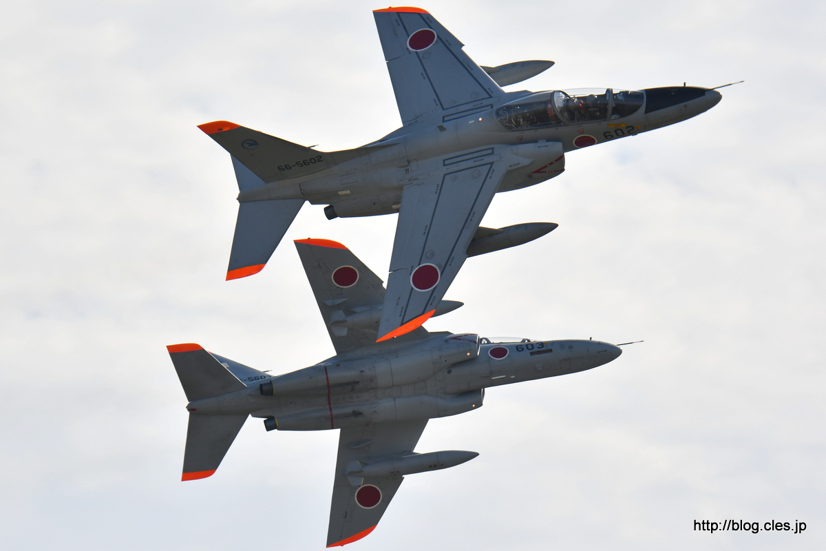 ブレイクする+T-4（66-5602,+66-5603）+-+飛行開発実験団の異機種大編隊（2016+岐阜基地航空祭）