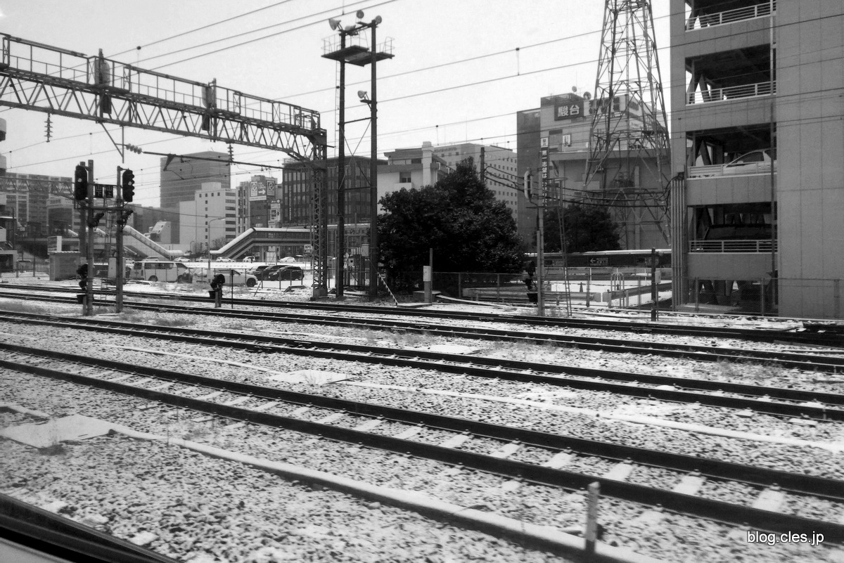 仙台は雪でした