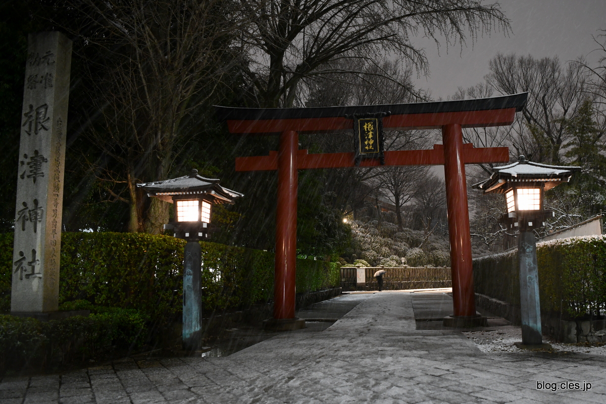 大鳥居+-+雪の根津神社