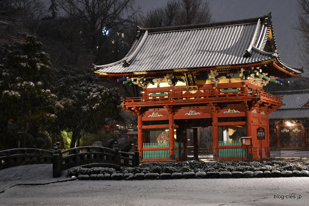 楼門+-+雪の根津神社