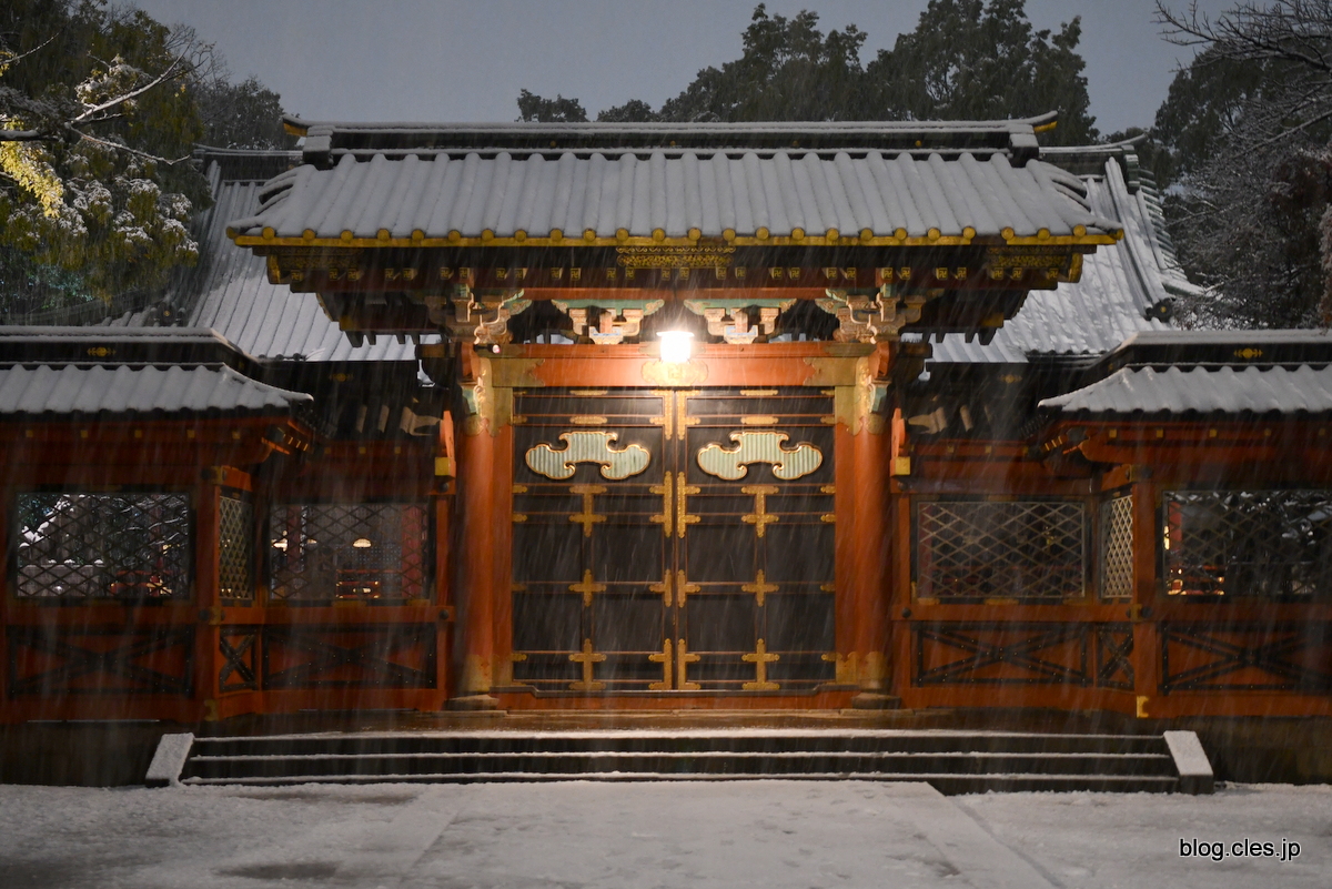 唐門+-+雪の根津神社
