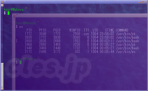 ck screen shot - ck - terminal emulator