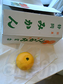 銘菓静岡みかん - 銘菓静岡みかん