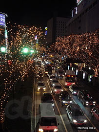 ケヤキ並木のライトアップ - 2007 SENDAI 光のページェント