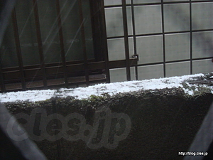 初雪 - 初雪？