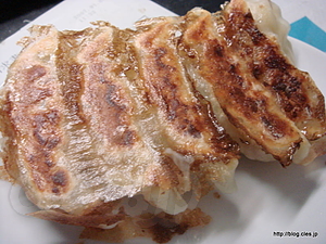 鉄鍋で焼いたギョーザ - 鉄鍋でギョーザを焼いてみる