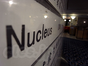 Nucleus CMS Japan 御一行様 - Nucleus合宿・第１夜