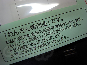ねんきん特別便 - ねんきん特別便が届いた