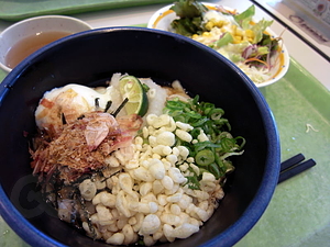 おんたまぶっかけうどん＋サラダ - 島根大学の食堂