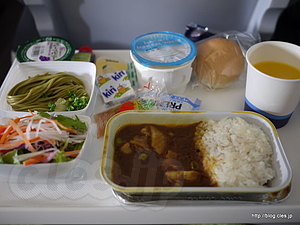 Finnair機内食（ポークカレー） - リトアニア出張にいってきます