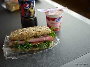 ヘルシンキ空港でランチ - 帰路へ