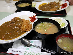 上河内SAのカツカレー - 一路、宮城へ