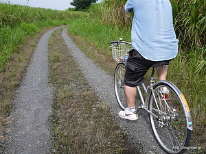 自転車で谷中村跡を巡る - 渡良瀬遊水地と谷中村跡めぐり