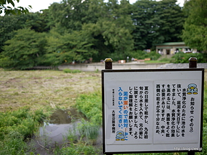 大宮公園ボート池 - 25年前の思い出を探しにいってきた
