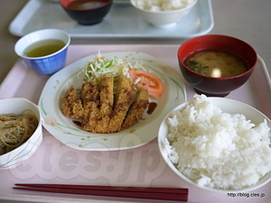 Ａ定食 - 東京女子大の学食