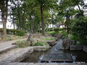 見沼代親水公園 - 見沼代親水公園から舎人ライナーで帰路へ