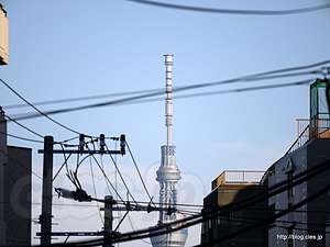 団子坂から見たスカイツリー（換算350mm） - LUMIX G X VARIO PZ 45-175mm/F4.0-5.6 ASPH./POWER O.I.S. で試写してきた