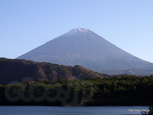 西湖のからの富士山 - 西湖のからの富士山