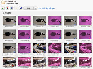 Picasa に GX1 のRW2を取り込んだところ - Picasa 3.8 は GX1 のRW2に対応していない