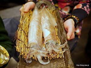 活イカ踊り刺し - 上潮家 魚バカ三太郎