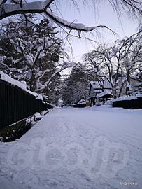 角館 武家屋敷武家屋敷通り - 雪と角館の武家屋敷