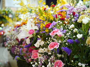 花に囲まれて - 葬儀の全日程を終了