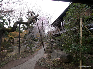 サンルームからの庭園 - 旧安田楠雄邸庭園を見学