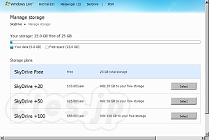 SkyDrive Manage storage - MS、新SkyDriveを発表