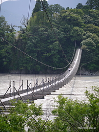 恋金橋の全景 - 大井川の吊り橋 （恋金橋編）