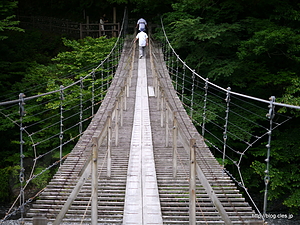 夢の吊橋の中間地点 - 大井川の吊り橋 （夢の吊橋編）
