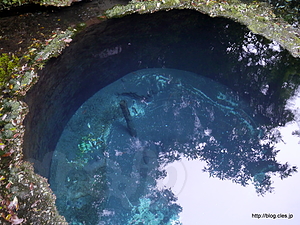 湧水第２展望台 - 柿田川湧水群