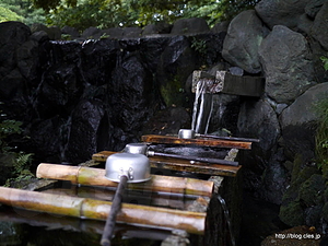 柿田川湧水 水飲み場 - 柿田川湧水群