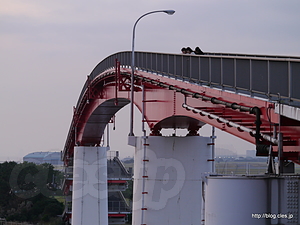 中の島大橋 - 中の島大橋