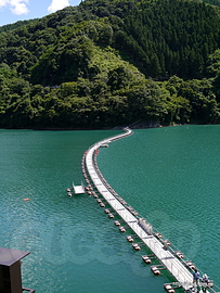 麦山浮橋 - 麦山浮橋