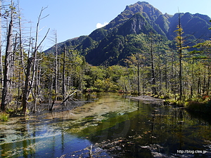 岳沢湿原からの六百山 - 上高地散策 ２時間コースをゆく