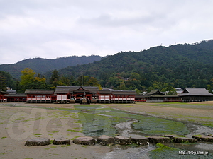 平舞台（干潮時） - 嚴島神社と大鳥居と潮の干満