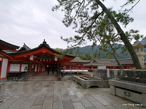 入り口 - 嚴島神社と大鳥居と潮の干満