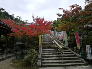 境内 - 多喜山 大聖院 水精寺 本坊