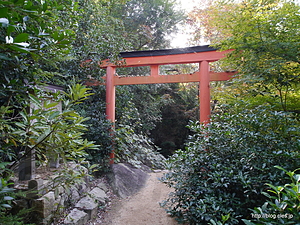 入り口の鳥居 - 御山神社