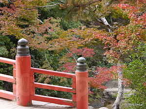 紅葉谷公園 - 紅葉谷公園の紅葉